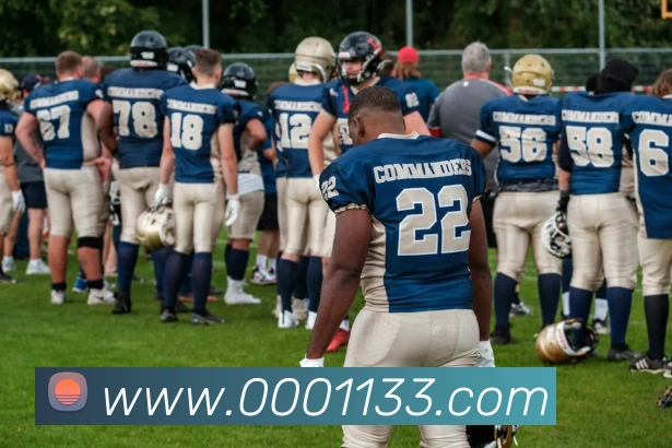 w66国际利来APP 体育赛事宣传图